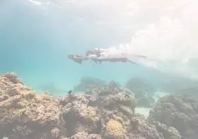 video-plongee-sous-marine-jet-tour-bora-bora