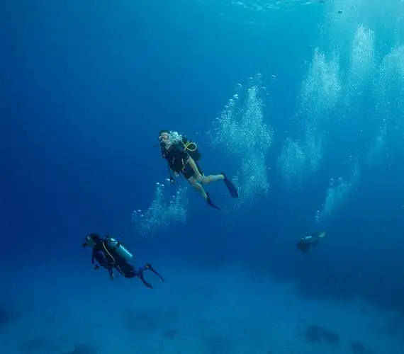 bora-bora-ocean-adventures-certified-scuba-diving-divers