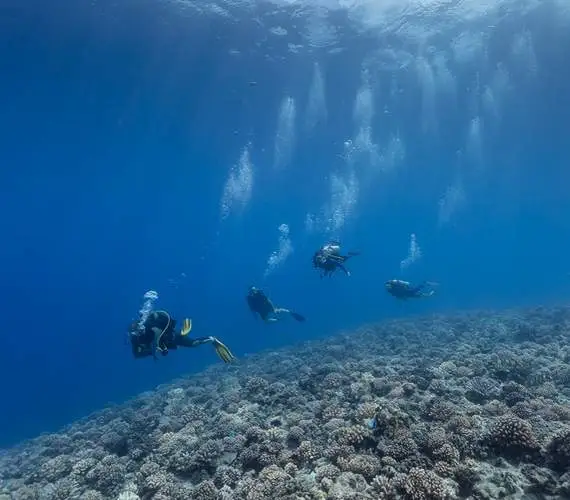 certified-scuba-diving-bora-bora-ocean-divers