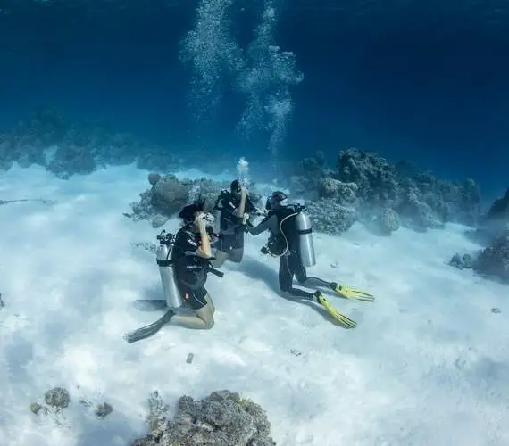 bora-bora-scuba-diving-courses